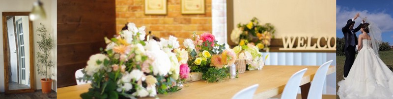 �����𖳗��ʍ����T�|�[�g�́w�V�[�l�b�g�������k���x���T�C�g